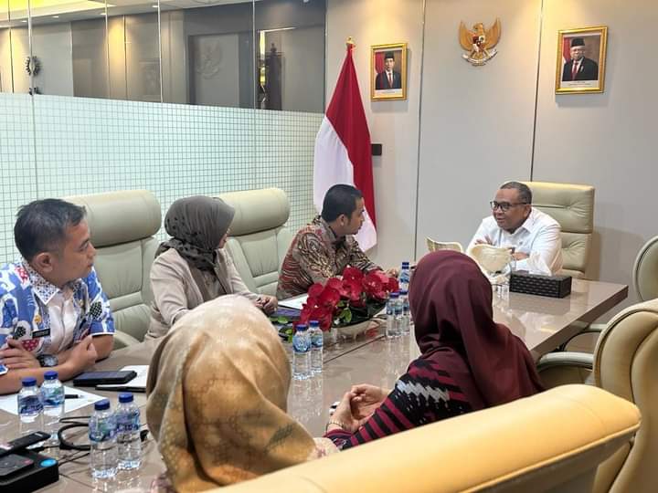 Wakil Wali Kota Solok Ramadhani Kirana Putra beraudensi dengan Wakil Menteri Ketenagakerjaan RI Afriansyah Noor